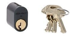 ASSA 1301 Black External Cylinder