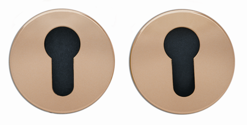 ESCUTCHEON ABLOY 002PZ BRASS/CROME  