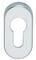 ESCUTCHEON ALUX OVAL D PZ SILVER (pair)