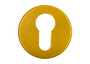 ESCUTCHEON ALUX ROUND PZ GOLD (pair)